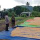 Bhabinkamtibmas Desa Pekat Pantau Panen Raya Jagung, Dukung Ketahanan Pangan Nasional