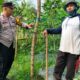 Bhabinkamtibmas Arab Kenangan Monitoring Ketahanan Pangan Warga, Dukung Program Swasembada