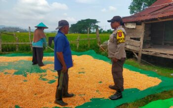 BHABINKAMTIBMAS DESA JALA LAKUKAN PEMANTAUAN PENJEMURAN JAGUNG WARGA DALAM DUKUNG KETAHANAN PANGAN NASIONAL