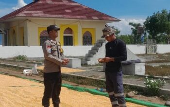BHABINKAMTIBMAS DESA DAHA MONITORING PENJEMURAN JAGUNG WARGA DUKUNG KETAHANAN PANGAN NASIONAL