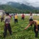 Bhabinkamtibmas Kelurahan Menala Gotong Royong Bersama di Mako Polsubsektor Brang Ene