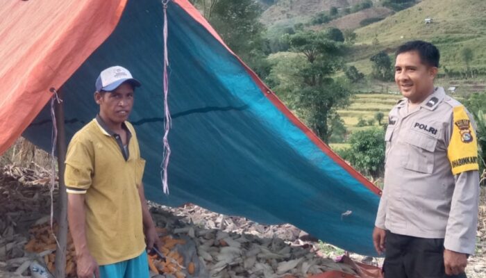 Bhabinkamtibmas Polres Bima Kota Sambangi Petani Jagung, Sampaikan Himbauan Kamtibmas