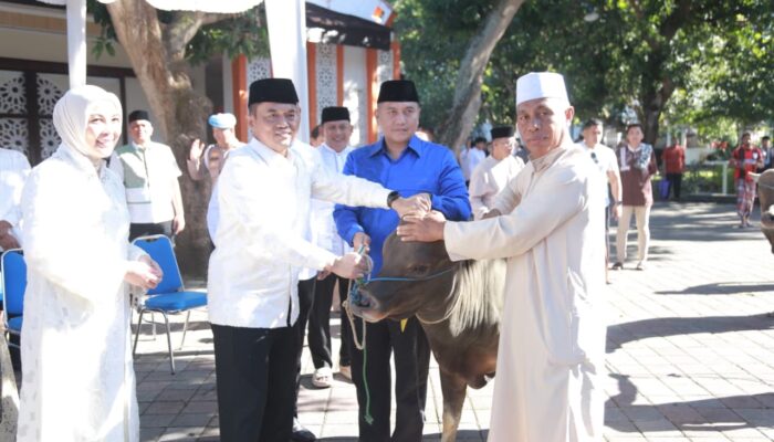 Polda NTB Sembelih Ratusan Hewan Kurban, Daging Dibagikan Kepada Masyarakat Penerima Manfaat