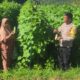 Bhabinkamtibmas Desa Manemeng Dampingi Pengelolaan Pekarangan Pangan Bergizi, Dorong Ketahanan Pangan Masyarakat
