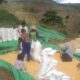 Kapolsek Woja: Bhabinkamtibmas Berperan Aktif Mendukung Produktivitas Pertanian Masyarakat