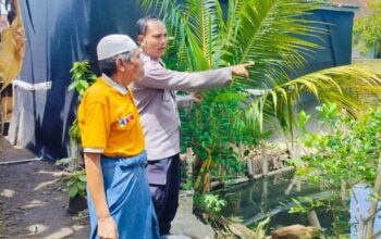 Optimalisasi Lahan Marginal di Labuapi untuk Kemandirian Pangan
