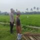 Bhabinkamtibmas Desa Bagik Nyaka Santri Monitoring Tanaman Jagung Warga untuk Dukung Ketahanan Pangan