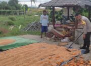 Upaya Ketahanan Pangan Lewat Sambang Produktif di Labuapi