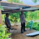 Optimalisasi Lahan Warga Demi Ketahanan Pangan