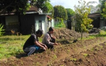 Bhabinkamtibmas Desa Senteluk Edukasi Lahan Produktif
