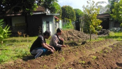 Bhabinkamtibmas Desa Senteluk Edukasi Lahan Produktif