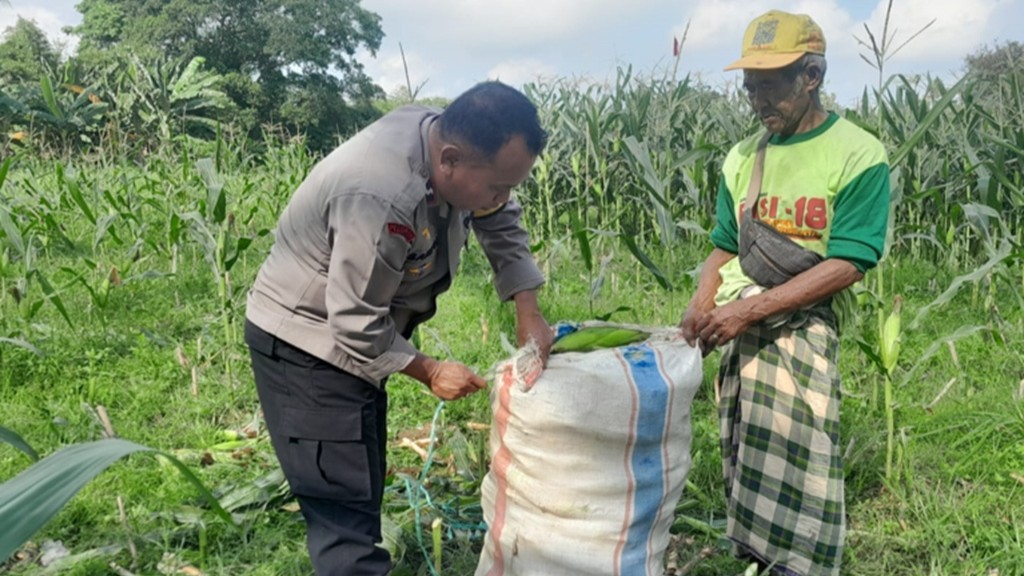Cara Polsek Labuapi Perkuat Ketahanan Pangan dari Tingkat Desa