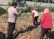 Perkuat Ketahanan Pangan, Polsek Labuapi Ajak Warga Sulap Lahan Kosong