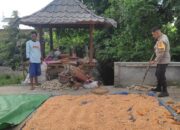 Polsek Labuapi Dampingi Petani Sukseskan Swasembada Pangan