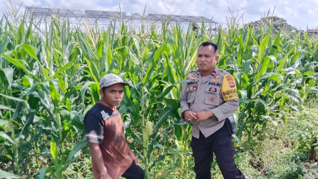 Cara Bhabinkamtibmas Bagik Polak Barat Sukseskan Swasembada Pangan