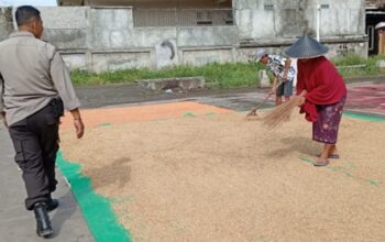 Polri dan Warga Merembu Sinergi Wujudkan Swasembada Pangan