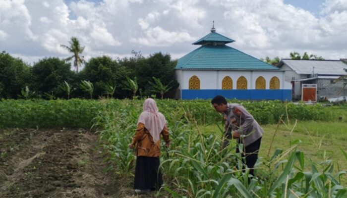 Polsek Labuapi Ajak Warga Telagawaru Manfaatkan Lahan Kosong