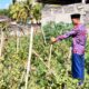 Bhabinkamtibmas Desa Jango Ajak Warga Dukung Program Ketahanan Pangan Nasional