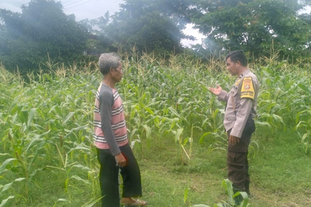 Sinergi Polisi dan Petani Jaga Ketahanan Pangan di Labuapi