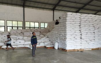 19 Ton Jagung Petani Lombok Barat Tembus Standar BULOG