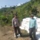 BHABINKAMTIBMAS POLSEK WOJA PANTAU PANEN JAGUNG WARGA, DUKUNG KETAHANAN PANGAN NASIONAL