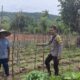 BHABINKAMTIBMAS DESA SONGGAJAH DORONG PEMANFAATAN PEKARANGAN RUMAH UNTUK DUKUNG KETAHANAN PANGAN NASIONAL