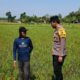 Polri Dukung Astacita, Polsek Parengan Polres Tuban Cek Lokasi Tanaman Padi milik warga di Desa Pacing Kec. Parengan Kab. Tuban.