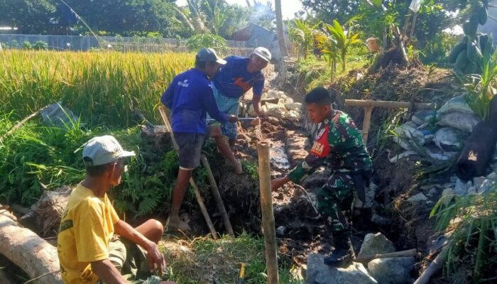 Babinsa Dampingi Pentaludan Irigasi Demi Ketahanan Pangan Petani
