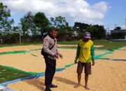 BHABINKAMTIBMAS DESA SAWE DAMPINGI PETANI JAGUNG, DORONG PENINGKATAN KESEJAHTERAAN DAN DUKUNG KETAHANAN PANGAN
