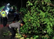 Patroli Malam Polsek Batulayar Evakuasi Pohon Tumbang di Tanjakan Alberto