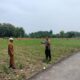 Polri Dukung Astacita, Polsek Palang Polres Tuban jagung milik Warga di Desa Glodog