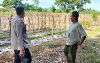 Polsek Labuapi Dorong Ketahanan Pangan Lewat Sambang Warga