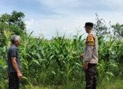 Polsek Labuapi Sukseskan Program Ketahanan Pangan Nasional
