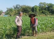 Polsek Batulayar Dorong Warga Sandik Manfaatkan Pekarangan Rumah