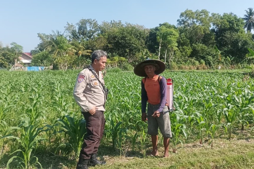 Dukung Ketahanan Pangan, Polsek Batulayar Ajak Warga Menanam Sayur