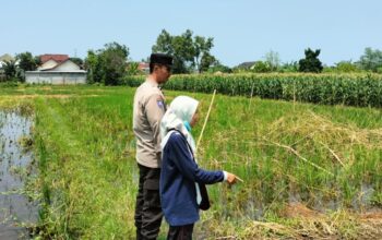 Bhabinkamtibmas Lombok Barat Motivasi Petani Jaga Ketahanan Pangan
