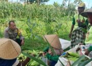 Petani Dusun Jogot Dimotivasi Bhabinkamtibmas Optimalkan Sawah