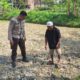 Bhabinkamtibmas Desa Sukadana Monitoring Lahan Jagung Milik Ketua Gapoktan Dile Semprong