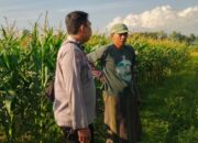 Wujudkan Ketahanan Pangan Nasional, Polsek Labuapi Gencarkan Edukasi Tanam Komoditas Produktif