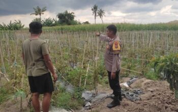 Cara Bhabinkamtibmas Lombok Barat Edukasi Petani Melejitkan Hasil Panen
