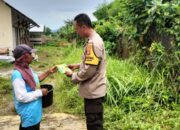 Gaya Hidup Baru Warga Labuapi Sulap Lahan Terbengkalai Menjadi Pekarangan Bergizi Penopang Dapur Rumah