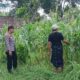 Bhabinkamtibmas Karang Bongkot Kawal Ketahanan Pangan Nasional