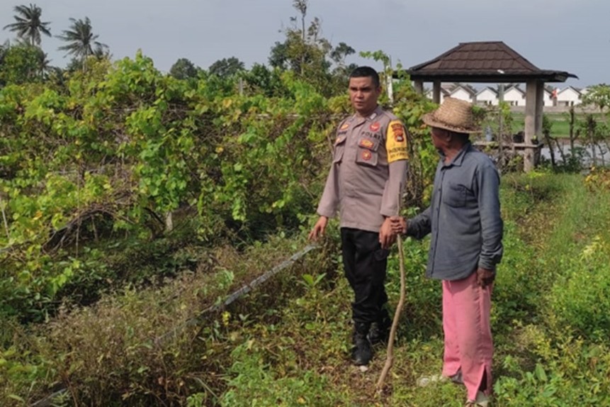 Aksi Bhabinkamtibmas Desa Kuranji Dalang Kawal Pertanian Lombok Barat