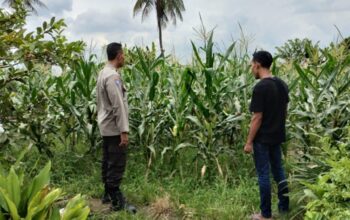 Wujudkan Kemandirian Pangan, Polsek Labuapi Dorong Warga Optimalkan Pekarangan