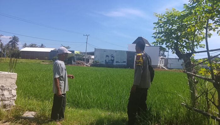 Dukung Ketahanan Pangan, Bhabinkamtibmas Desa Pelat Motivasi Petani Padi Optimalkan Lahan