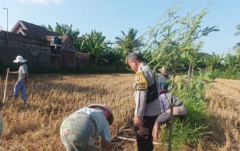 Dukung Ketahanan Pangan, Polsek Batulayar Edukasi Petani Jual Ke Bulog
