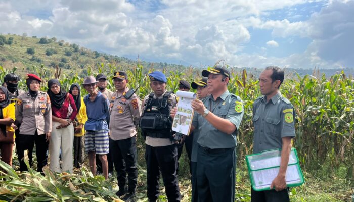 Polres Bima Kota Amankan Pelaksanaan Eksekusi Lahan di So Lolu Desa Perangina, Sape