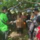 Gegerkan Warga Lape, Seorang Petani Ditemukan Meninggal Dunia karena Gantung Diri di Areal Ladang