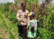 Optimalkan Pekarangan Rumah, Polsek Labuapi Pendampingan Petani Lokal dan Warga Binaan