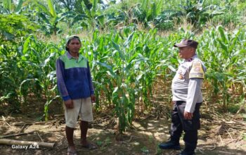 Perkuat Pangan Lokal, Bhabinkamtibmas Polsek Gerung Turun Langsung Sambangi Petani